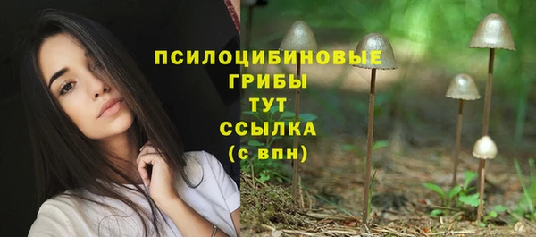 кристаллы Няндома