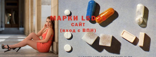 прущие грибы Нягань