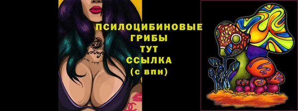 спиды Балахна